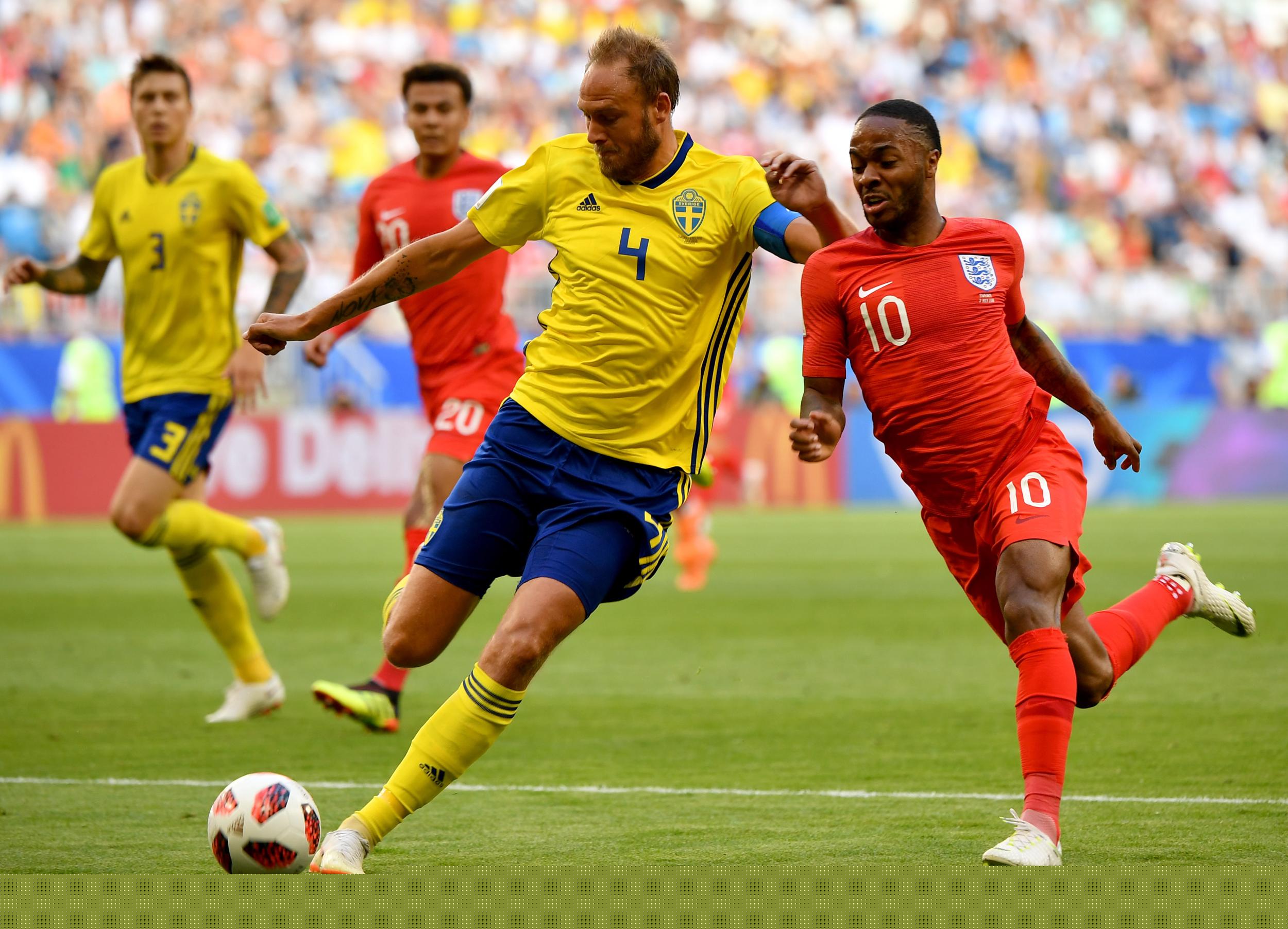 多伦多蓝鸟 多伦多蓝鸟